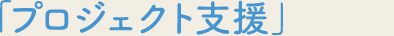 「プロジェクト支援」